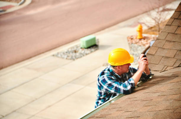 Best Roof Gutter Cleaning  in Hollandale, MS