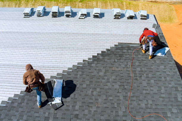Best New Roof Installation  in Hollandale, MS