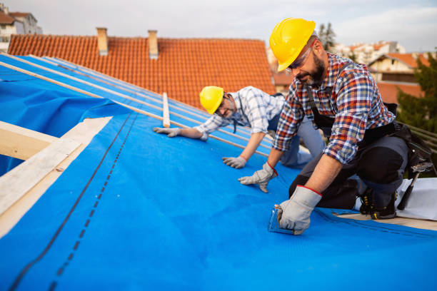 Best Roof Repair Specialists  in Hollandale, MS
