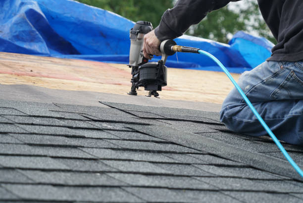 Best Storm Damage Roof Repair  in Hollandale, MS
