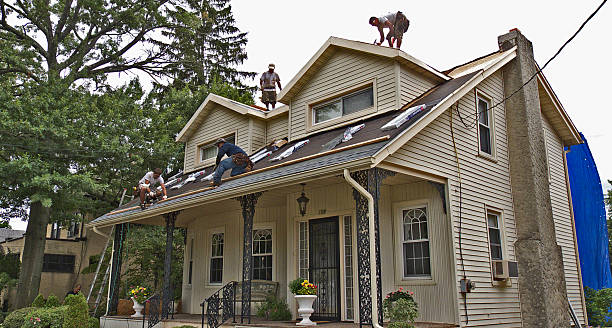Best Slate Roofing Contractor  in Hollandale, MS